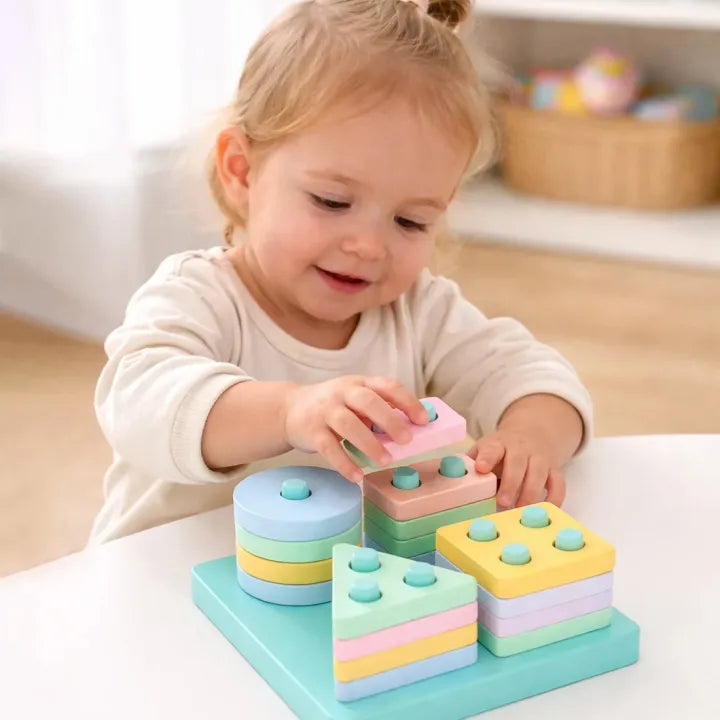 Montessori Geometric Shape Matching Toy