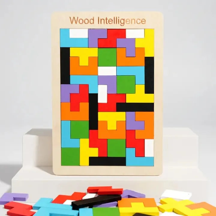 Wooden Intelligence Blocks Puzzle for Kids